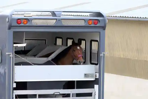 Horse Trailers